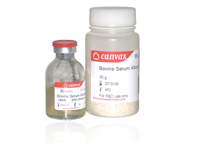 Bovine Serum Albumin (BSA)