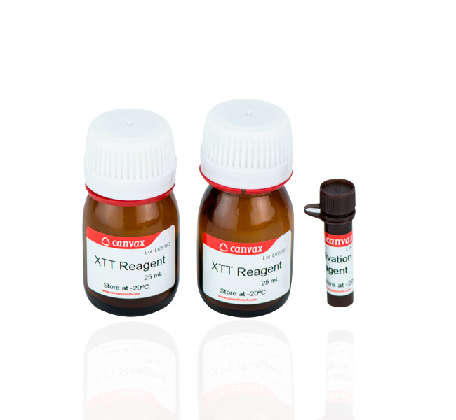 XTT Cell Proliferation Assay Kit